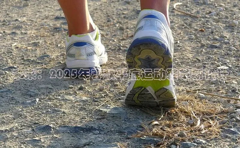 Xcsport官网